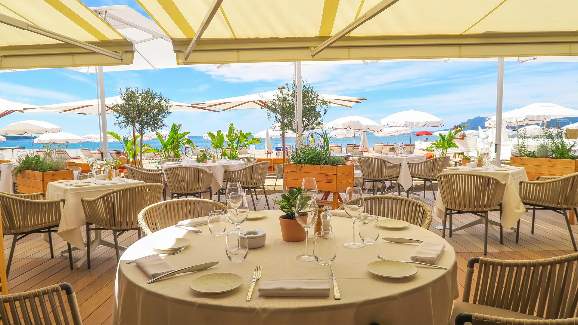 repas-groupe-plage-cannes-3