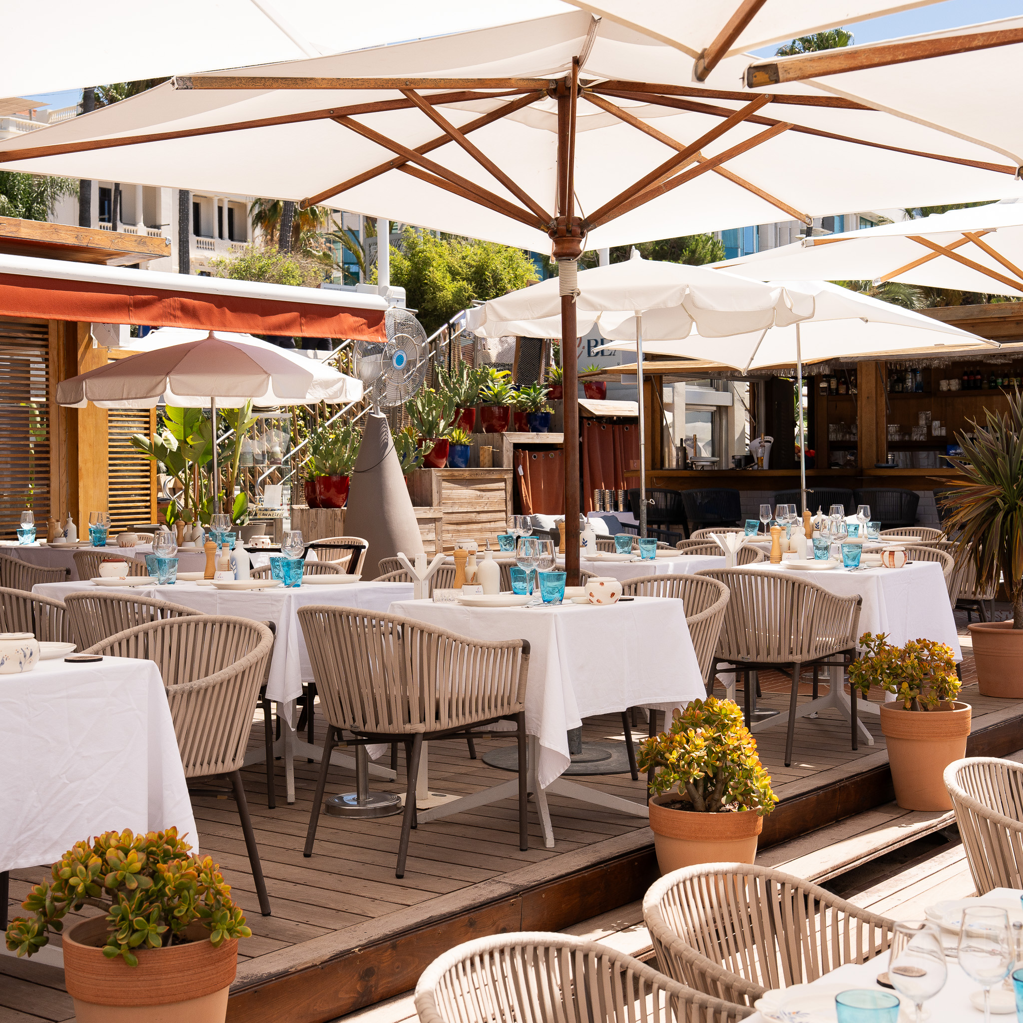 Cbeach-restaurant